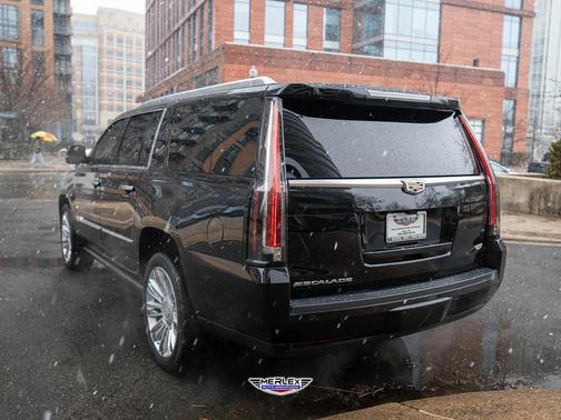 2019 Cadillac Escalade ESV Platinum