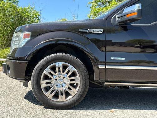 2013 Ford F-150 Platinum