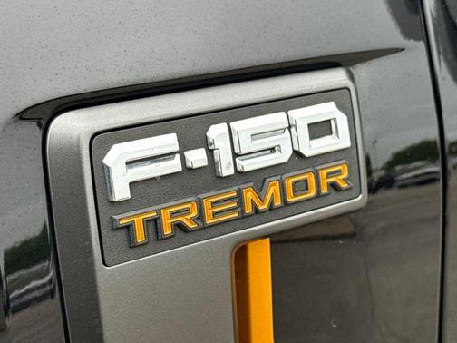 Black Metallic 2021 Ford F-150 Tremor