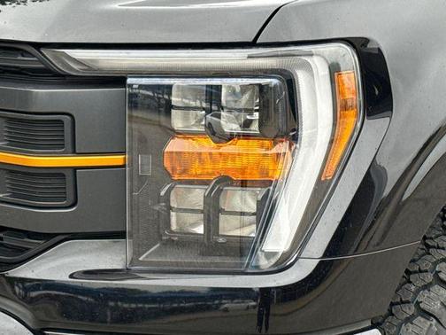 Black Metallic 2021 Ford F-150 Tremor