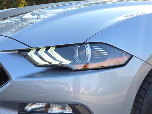 2021 Ford Mustang Mach 1