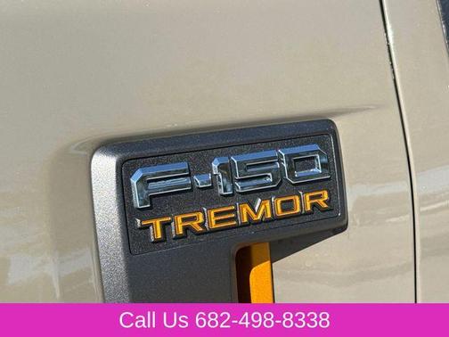 Gray 2026 Ford F-150 Tremor