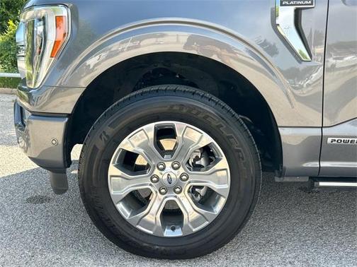 2021 Ford F-150 Platinum
