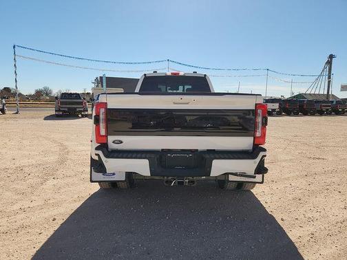 2026 Ford F-450 Platinum