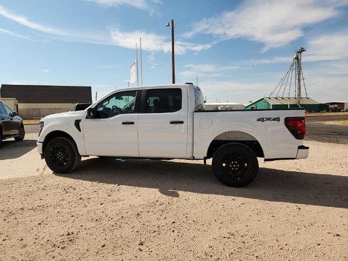 Shelter Green 2026 Ford F-150 STX