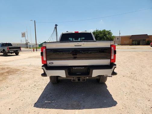 AVALANCHE 2026 Ford F-250 Platinum