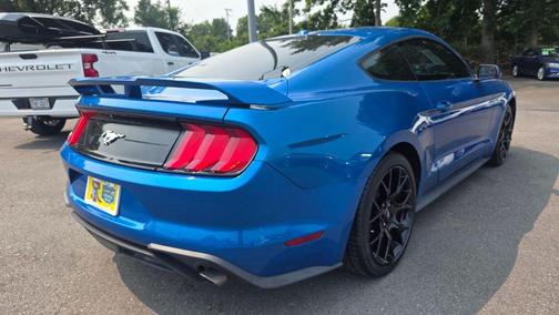 Blue Metallic 2019 Ford Mustang EcoBoost