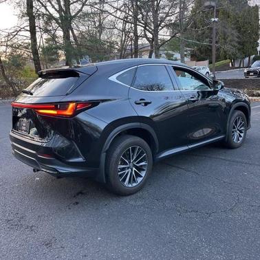 2023 Lexus NX 350 Premium