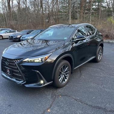 2023 Lexus NX 350 Premium