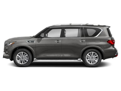 Anthracite Gray 2024 INFINITI QX80 Luxe