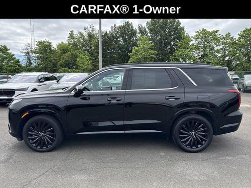 Abyss Black Pearl 2025 Hyundai PALISADE Calligraphy Night Edition