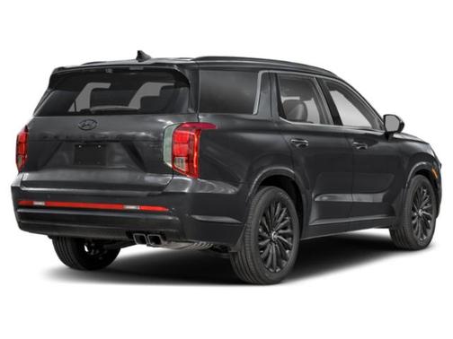 Abyss Black Pearl 2025 Hyundai PALISADE Calligraphy Night Edition
