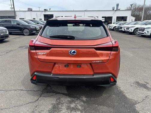 2019 Lexus UX 250h F Sport