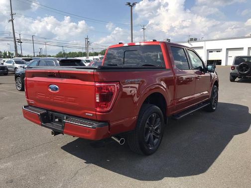 HOT PEPPER RED MET TINTD CC 2023 Ford F-150 XLT