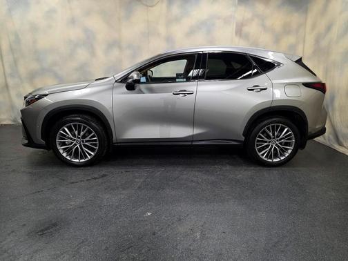2025 Lexus NX 350 Luxury
