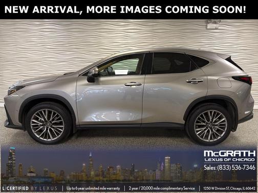 2025 Lexus NX 350 Luxury