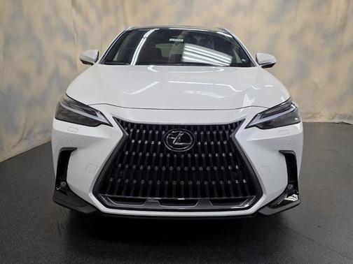 2025 Lexus NX 350h Luxury