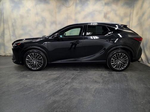 2025 Lexus RX 350 Luxury