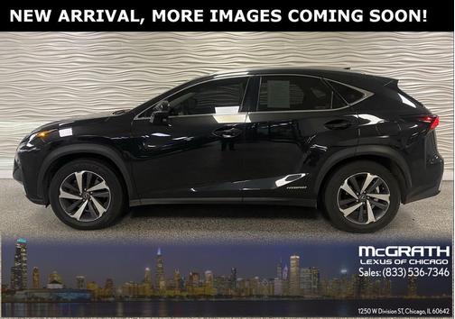 2019 Lexus NX 300h Base