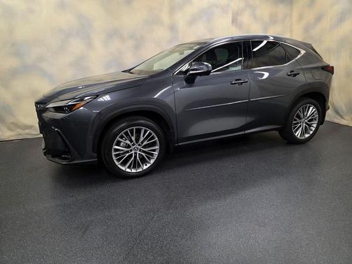2025 Lexus NX 350 Luxury