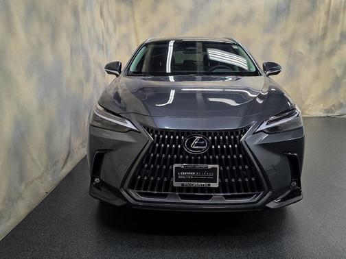 2025 Lexus NX 350 Luxury