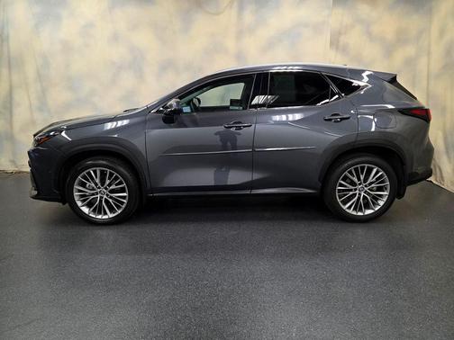 2025 Lexus NX 350 Luxury
