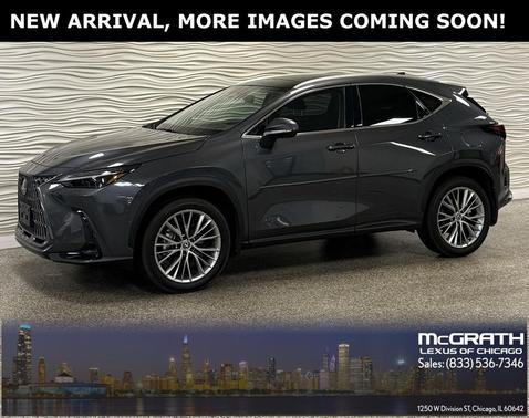 2025 Lexus NX 350 Luxury