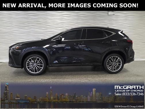 2024 Lexus NX 350h Luxury