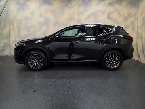 2025 Lexus NX 350 Base