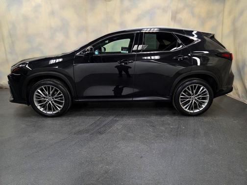 2022 Lexus NX 350h Premium