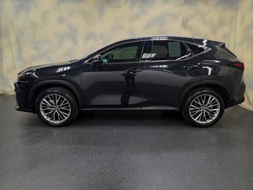2022 Lexus NX 350 Premium