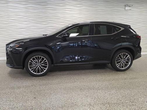 2025 Lexus NX 350h Luxury