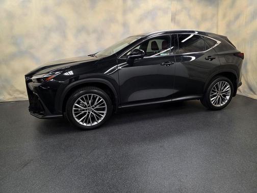 2023 Lexus NX 350 Luxury
