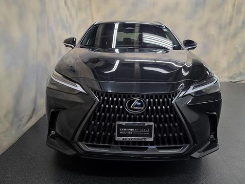 2023 Lexus NX 350 Luxury
