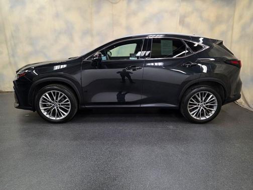 Caviar 2024 Lexus NX 350 Luxury