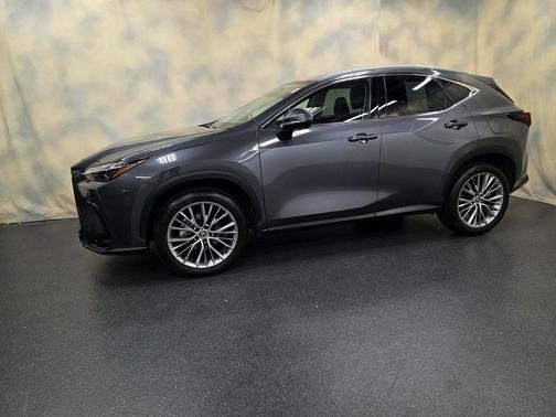 2025 Lexus NX 350h Premium