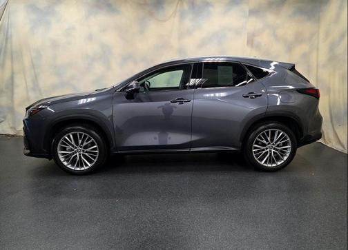 2025 Lexus NX 350h Premium