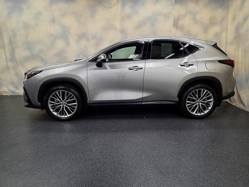 2025 Lexus NX 350h Premium