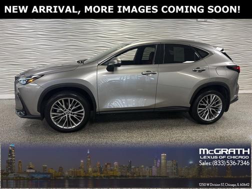 2025 Lexus NX 350h Premium