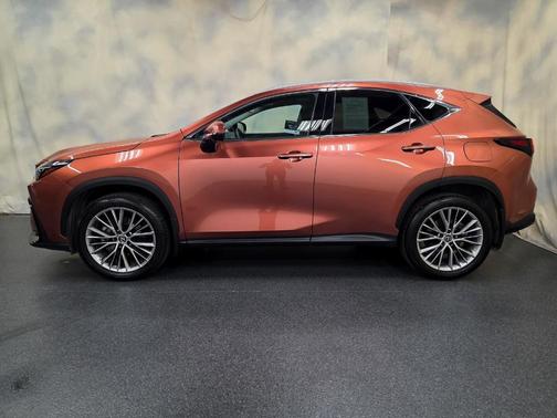 2025 Lexus NX 350 Premium