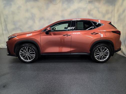 2025 Lexus NX 350 Premium