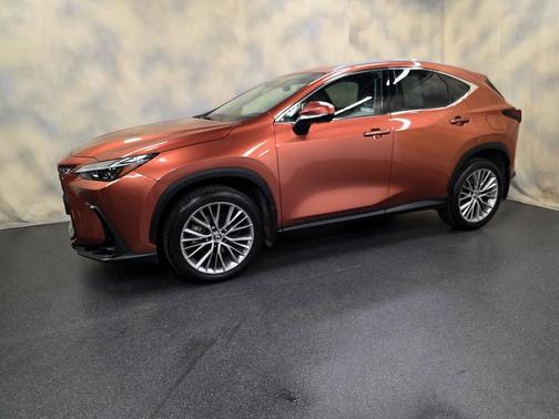 2025 Lexus NX 350 Premium