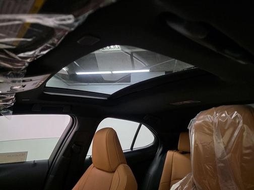 2026 Lexus UX 300h Premium