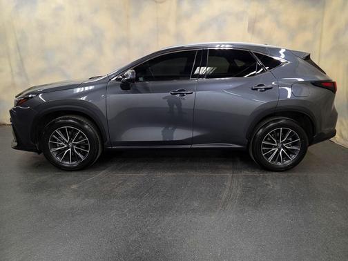 Cloudburst Gray 2025 Lexus NX 350 350 Base