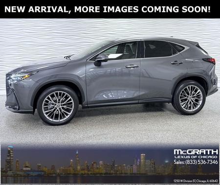 2022 Lexus NX 350 Luxury