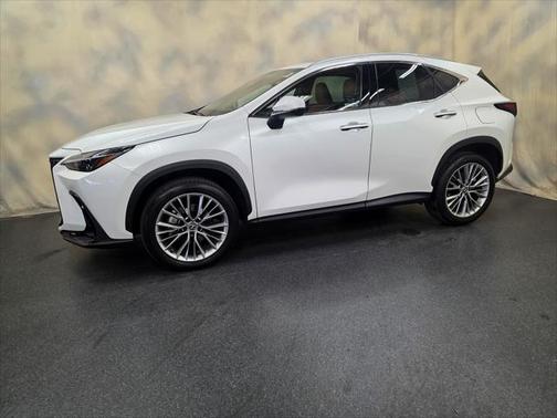 2025 Lexus NX 350 Premium