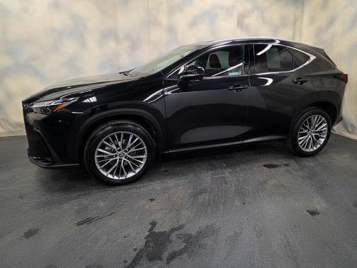 2025 Lexus NX 350h Premium