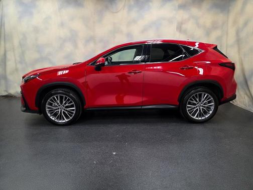 2025 Lexus NX 350h Premium