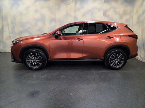 Copper Crest 2025 Lexus NX 350 350