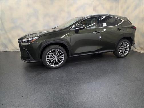 2025 Lexus NX 350 Premium